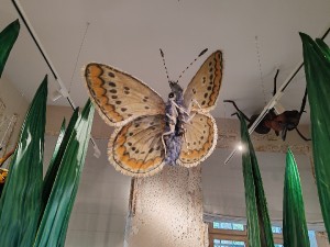 img_20250619_131041.jpg