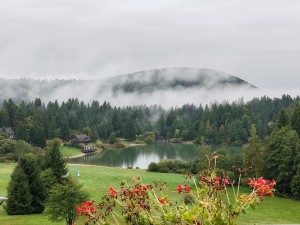 img_20250925_100204.jpg